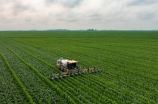 翼城新闻：玉米减产，市民精细施肥助力粮食增产
