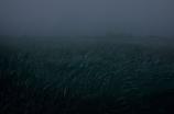 巫峡赏雾：极致云海体验